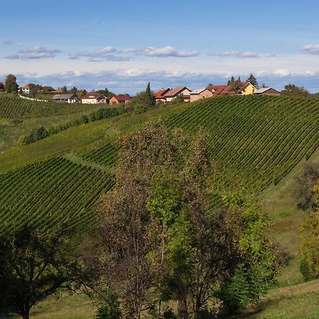 Bed and Breakfast Wine & Tourism Bracko Spodnji Jakobski Dol Exterior foto