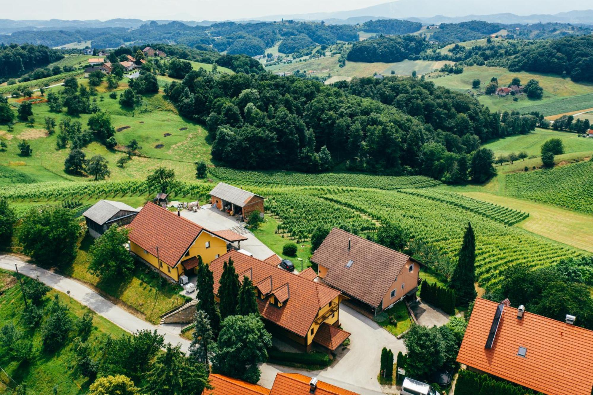 Bed and Breakfast Wine & Tourism Bracko Spodnji Jakobski Dol Exterior foto